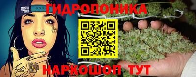 2c-b Донской