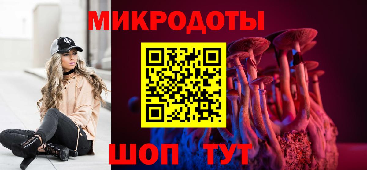 Выборг  Псилоцибиновые грибы GOLDEN TEACHER  купить  сайты  Вход с VPN 