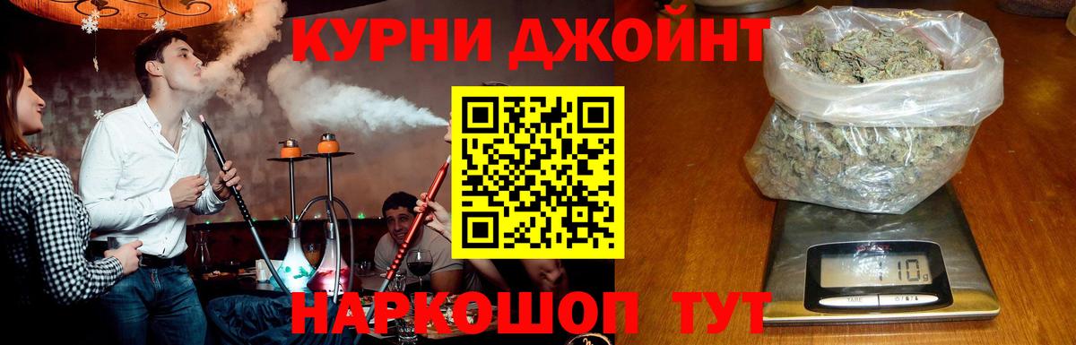 Канабис конопля Выборг